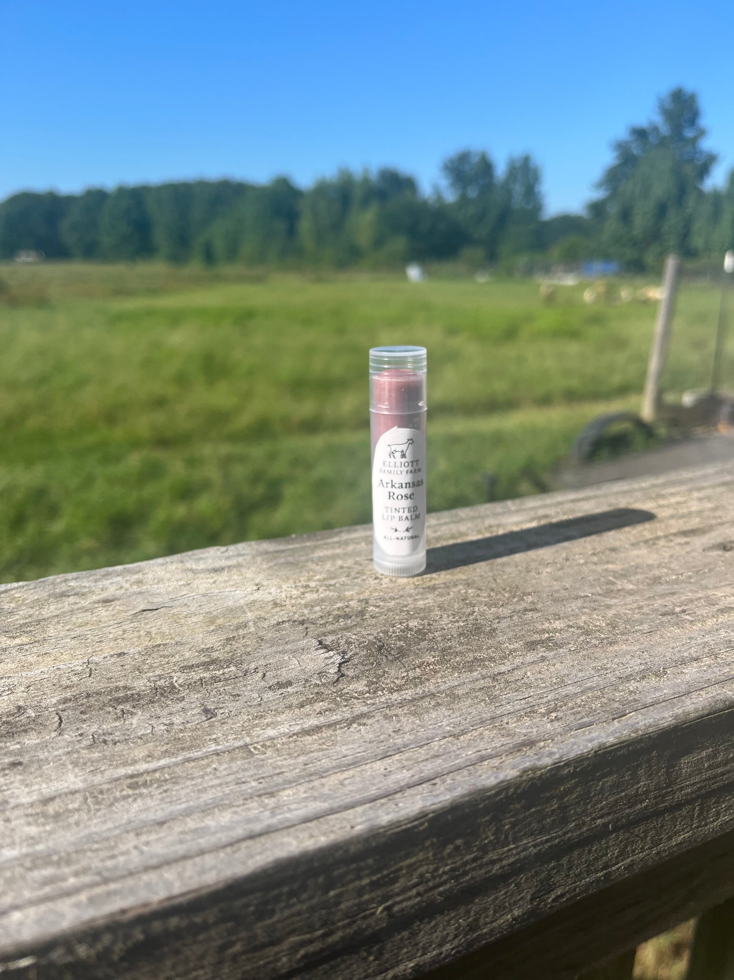 All natural tinted lip balm