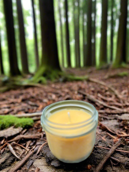 Tallow and beeswax candles